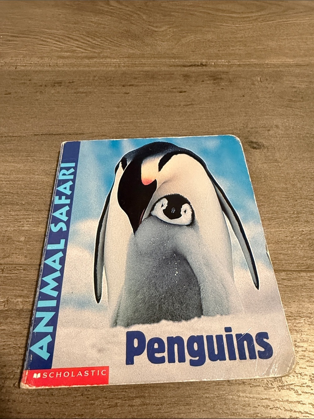 Scholastic Penguins Board Book - Blue, White, Black